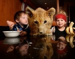 Bé 3 tuổi chơi đùa với sư tử