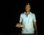 Câu cá đêm ở cảng biển