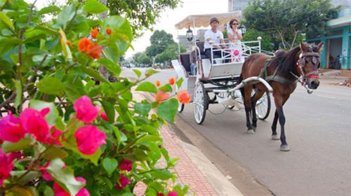 Du khách đi dạo bằng xe ngựa trên đường phố Buôn Ma Thuột - Ảnh: Tiến Thành