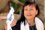 Nhà văn Nguyễn Thị Minh Ngọc: Sau những tàn phai