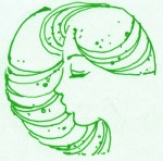 Minh họa: Duy Hải