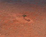 Giải mã những hình tròn bí ẩn trên sa mạc châu Phi