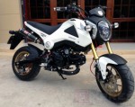 Xế 'độ' Honda MSX 125 đầu tiên tại Việt Nam