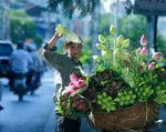 Thủ tướng đồng ý lựa chọn quốc hoa Việt Nam