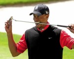Tiger Woods chiếm lại đỉnh thế giới