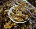 Liên Hợp Quốc kêu gọi nhân loại ăn côn trùng
