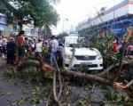 Cành cây rơi trúng taxi, đè bẹp xe máy