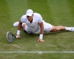 Ngày bình yên ở Wimbledon