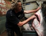 Ngư dân Mỹ bắt được cá mập 600 kg