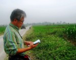 Nhà khảo cổ Nhật tử nạn giao thông ở Việt Nam
