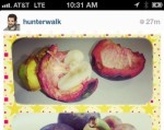Instagram bị tấn công bởi ảnh hoa quả