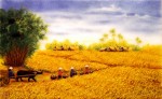 Về vuốt mặt cánh đồng - Chùm thơ Nguyễn Thanh Hải