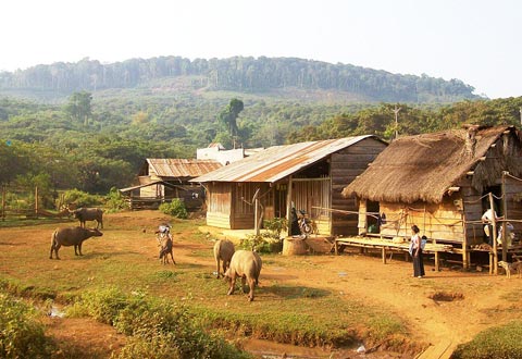 Nhà sàn của dân làng thôn Bù Gia Rá. Ảnh: Nguyên Vỹ.