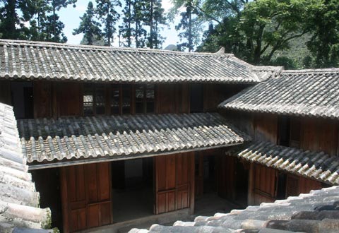 Nhà vua Mèo. Ảnh: Nguyễn Văn Hưởng