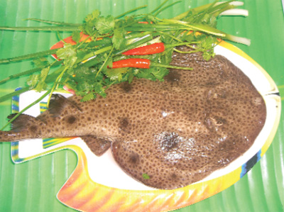 Cá bùa - Ảnh: Nguyễn Văn Học