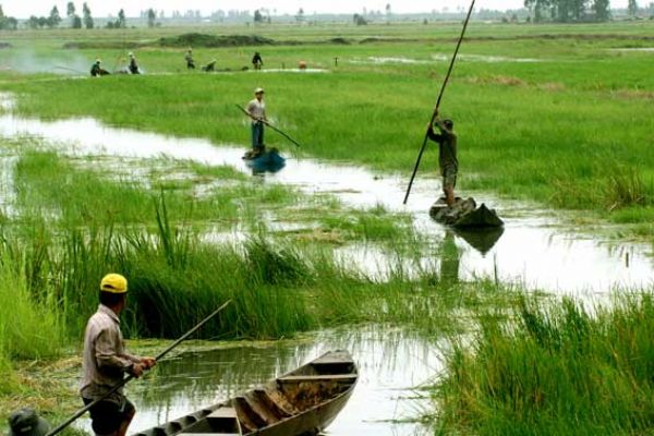 Văn thơ đồng bằng, còn “nghẹn” đến bao giờ?