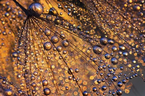 e7-jpg-1362998214-1362998647_500x0.jpg